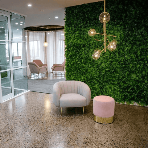 Classic Ferns - Evergreen Walls