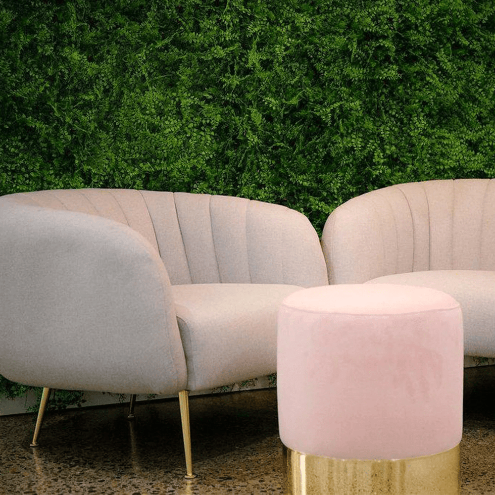 Classic Ferns - Evergreen Walls