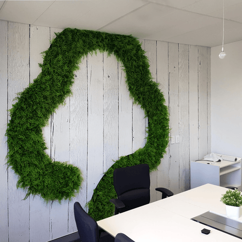 Classic Ferns - Evergreen Walls