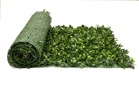 Classic Gardenia Roll - Evergreen Walls
