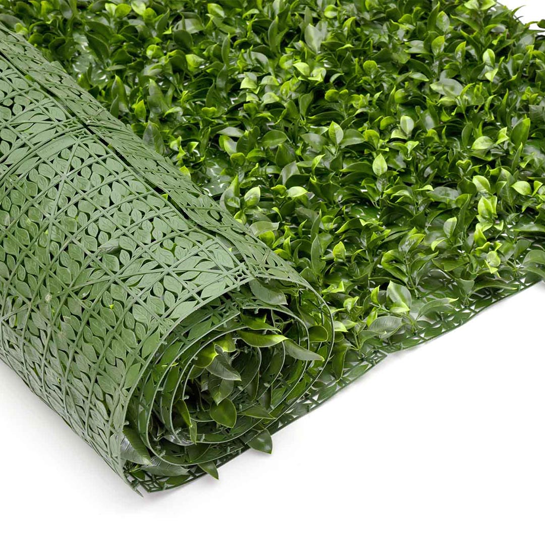Classic Gardenia Roll - Evergreen Walls
