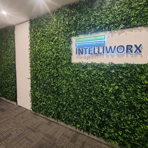 Classic Ivy - Evergreen Walls