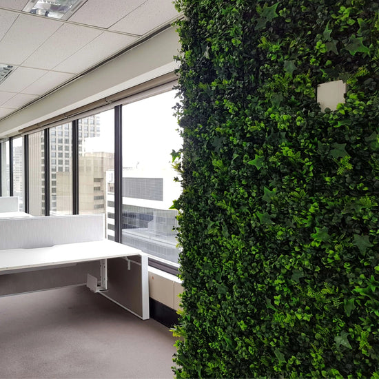 Classic Ivy - Evergreen Walls