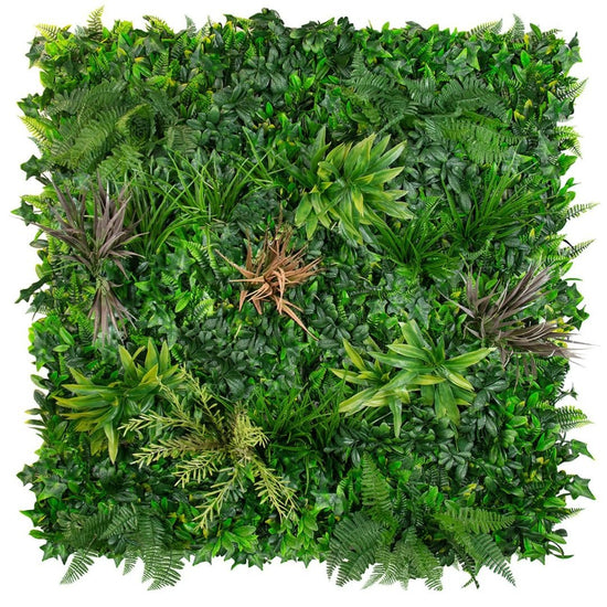 Coastal Autumn - Evergreen Walls