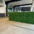 Double Sided Free Standing Green Wall Privacy Wall 2m X 2m - Evergreen Walls