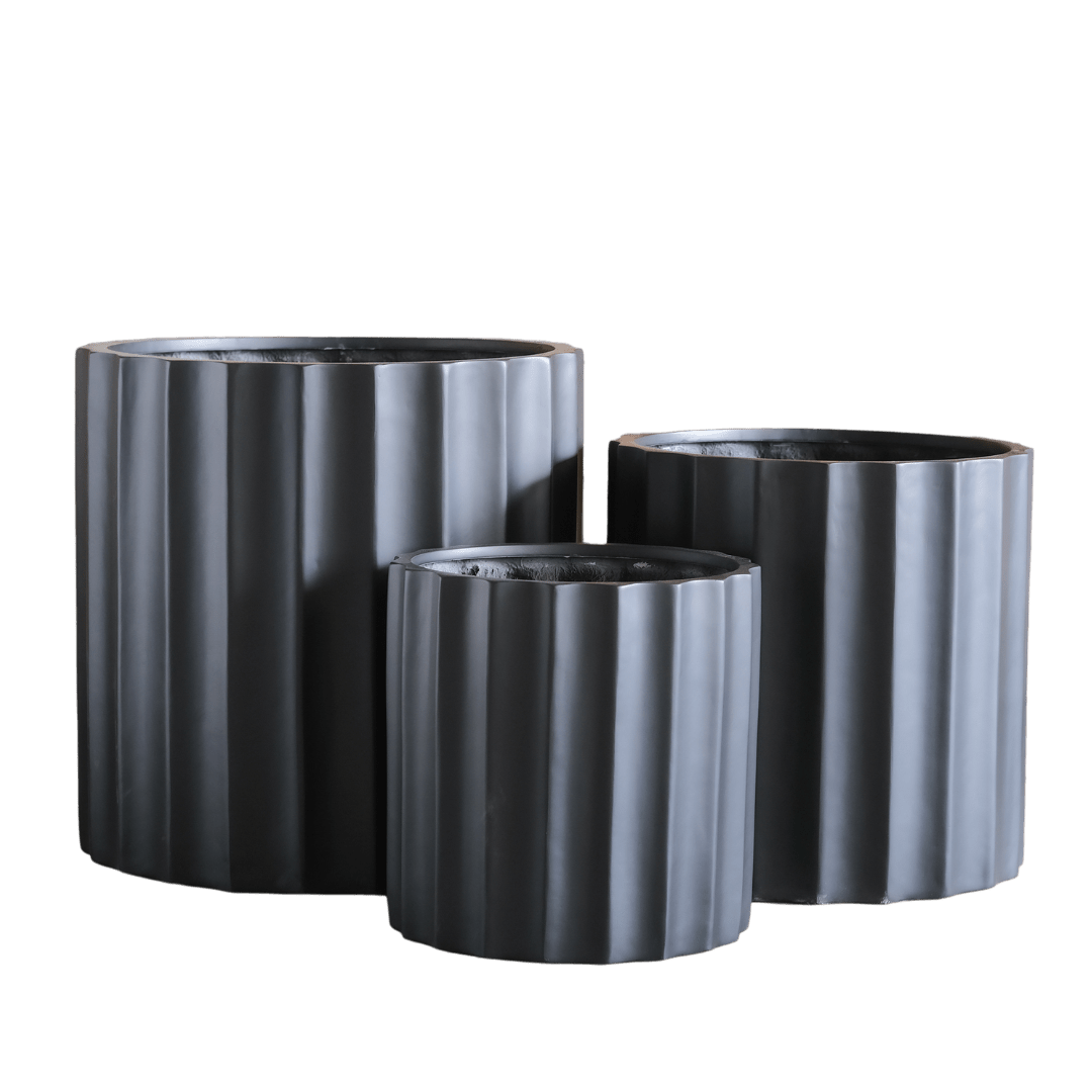 Echidna Pot Bundle - Evergreen Walls