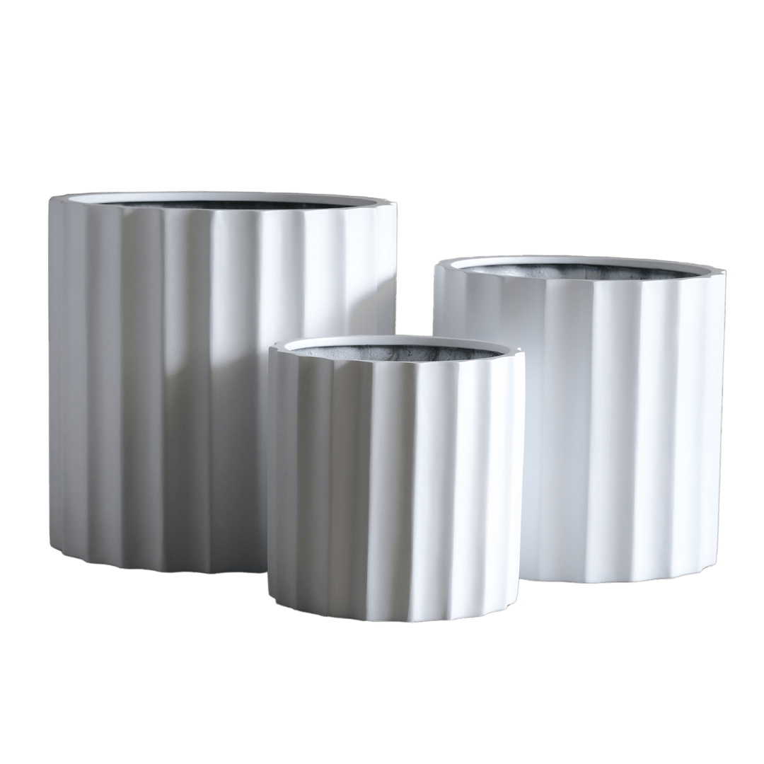 Echidna Pot Bundle - Evergreen Walls