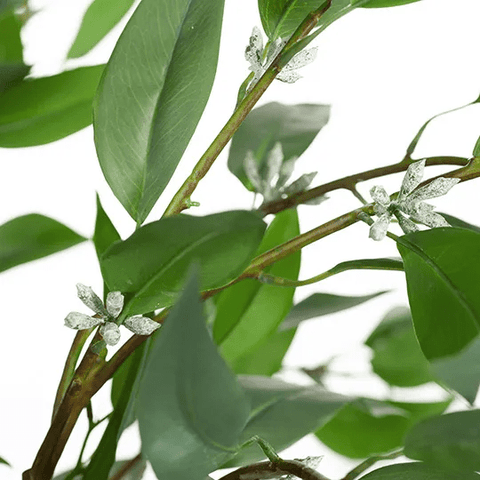 Eucalyptus Seed Tree 210cm - Evergreen Walls