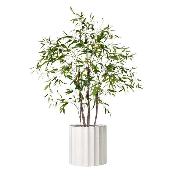 Eucalyptus Tree Green - Evergreen Walls