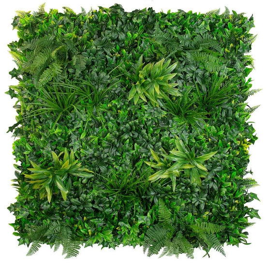 Evergreen Coastal - Evergreen Walls