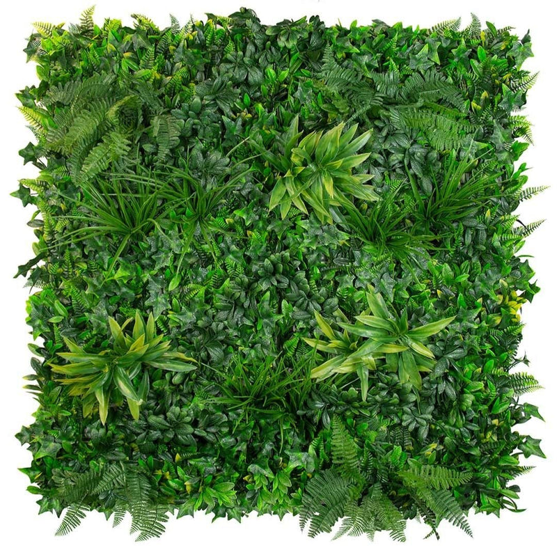 Evergreen Coastal - Evergreen Walls