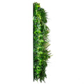 Evergreen Coastal - Evergreen Walls