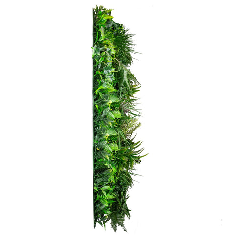 Evergreen Coastal - Evergreen Walls