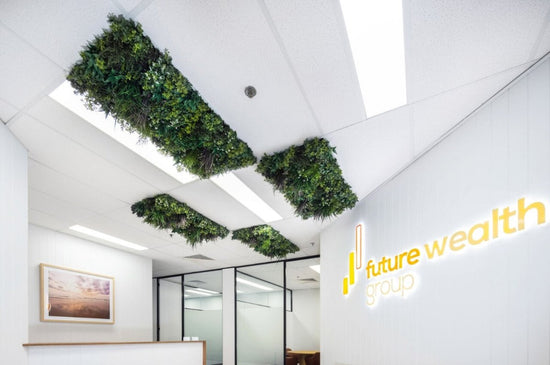 Evergreen Premium Ceiling Tile - Evergreen Walls