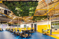 Evergreen Premium Ceiling Tile - Evergreen Walls