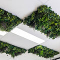 Evergreen Premium Ceiling Tile - Evergreen Walls