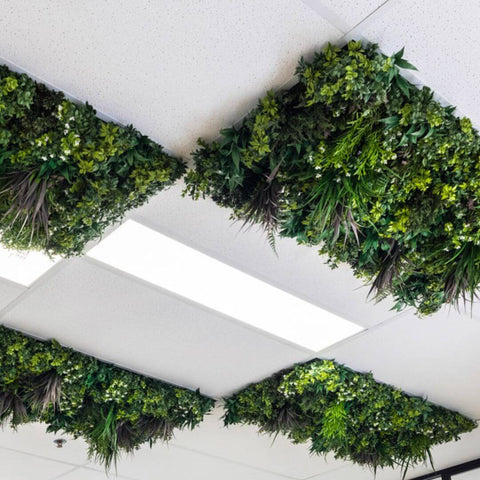 Evergreen Premium Ceiling Tile - Evergreen Walls