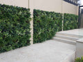 Evergreen Premium - Evergreen Walls