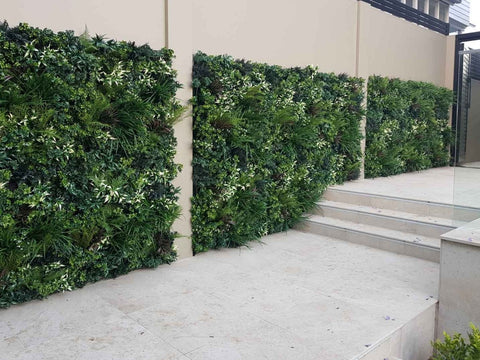 Evergreen Premium - Evergreen Walls