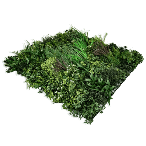 Evergreen Premium - Evergreen Walls