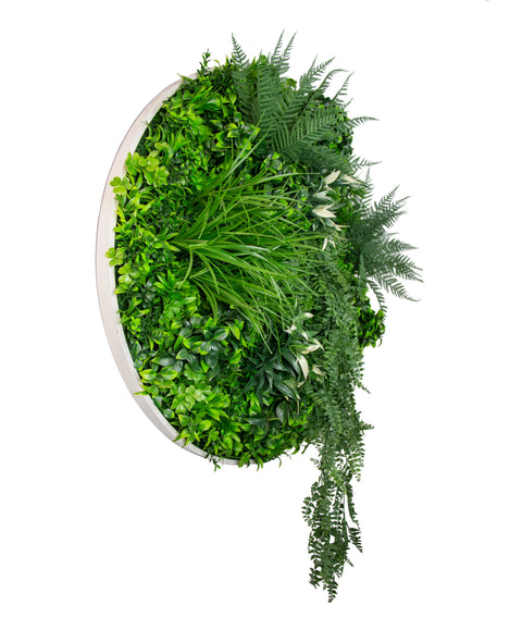 Garden Disc