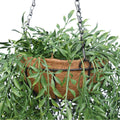 Ferns Hanging Basket (UV) - Evergreen Walls