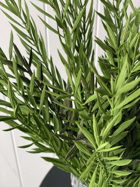 Fishbone Fern Bush 41cm (UV) - Evergreen Walls