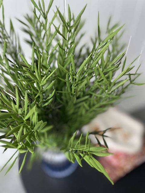 Fishbone Fern Bush 41cm (UV) - Evergreen Walls