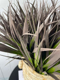 Grass Bush Red 35cm (UV) - Evergreen Walls