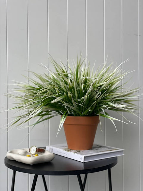 Grass Bush White 35cm (UV) - Evergreen Walls