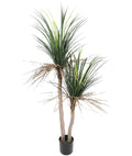 Grass Yucca Tree Double Trunk UV - Evergreen Walls