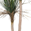 Grass Yucca Tree Double Trunk UV - Evergreen Walls