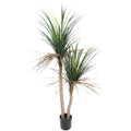 Grass Yucca Tree Double Trunk UV - Evergreen Walls