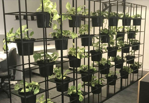 Grid Frame Green Wall - Evergreen Walls