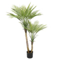 Kentia Palm Double Trunk UV 120cm - Evergreen Walls