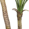 Kentia Palm Double Trunk UV 120cm - Evergreen Walls