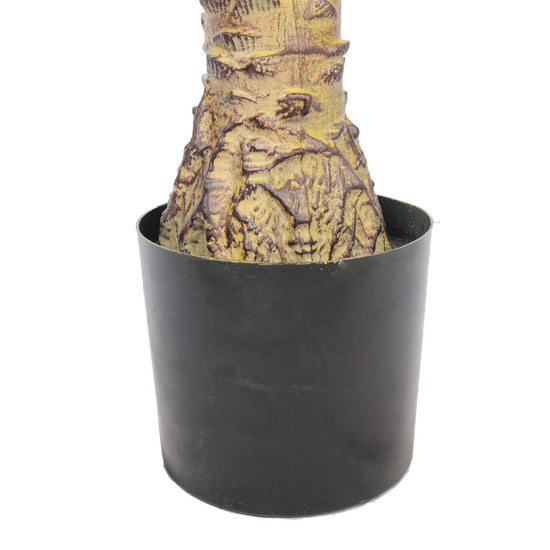 Kentia Palm Tree UV 180cm - Evergreen Walls