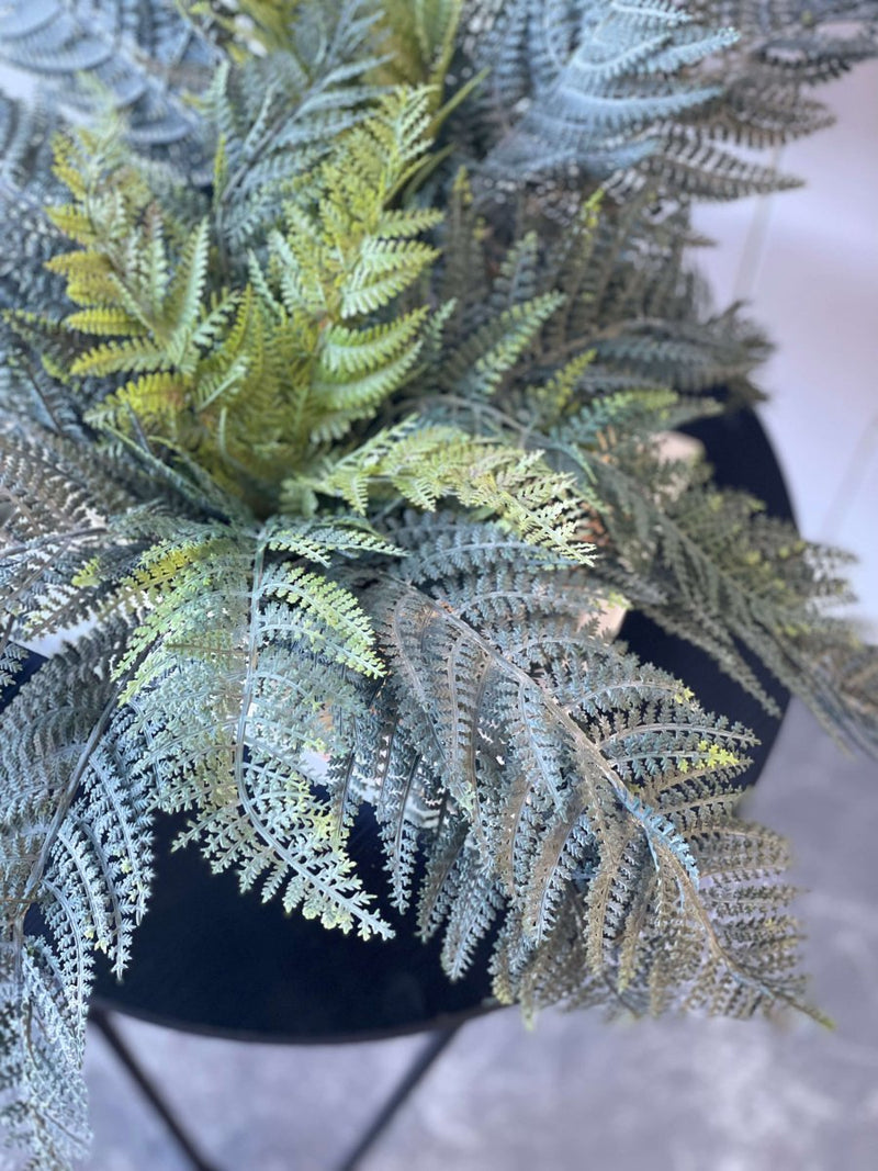 Leather Fern Bush UV Large 60cm - Evergreen Walls