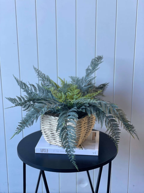Leather Fern Bush UV Large 60cm - Evergreen Walls