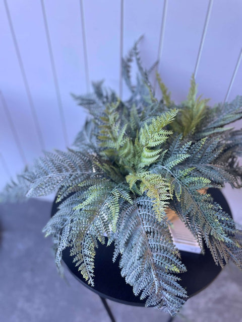 Leather Fern Bush UV Large 60cm - Evergreen Walls