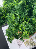 Moss Bush Green 35cm - Evergreen Walls