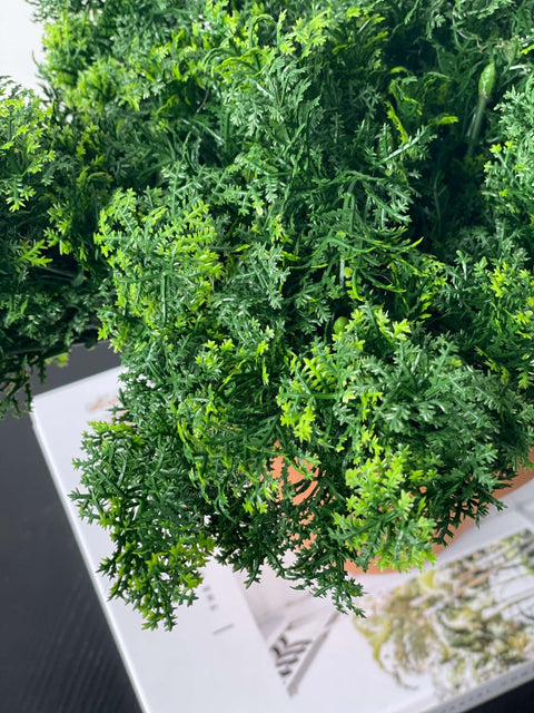 Moss Bush Green 35cm - Evergreen Walls
