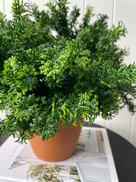 Moss Bush Green 35cm - Evergreen Walls