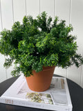 Moss Bush Green 35cm - Evergreen Walls