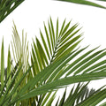 Pair Bundle - 2 x Areca Palms UV 180cm - Evergreen Walls
