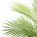 Pair Bundle - 2 x Baby Areca Palms UV 96cm - Evergreen Walls