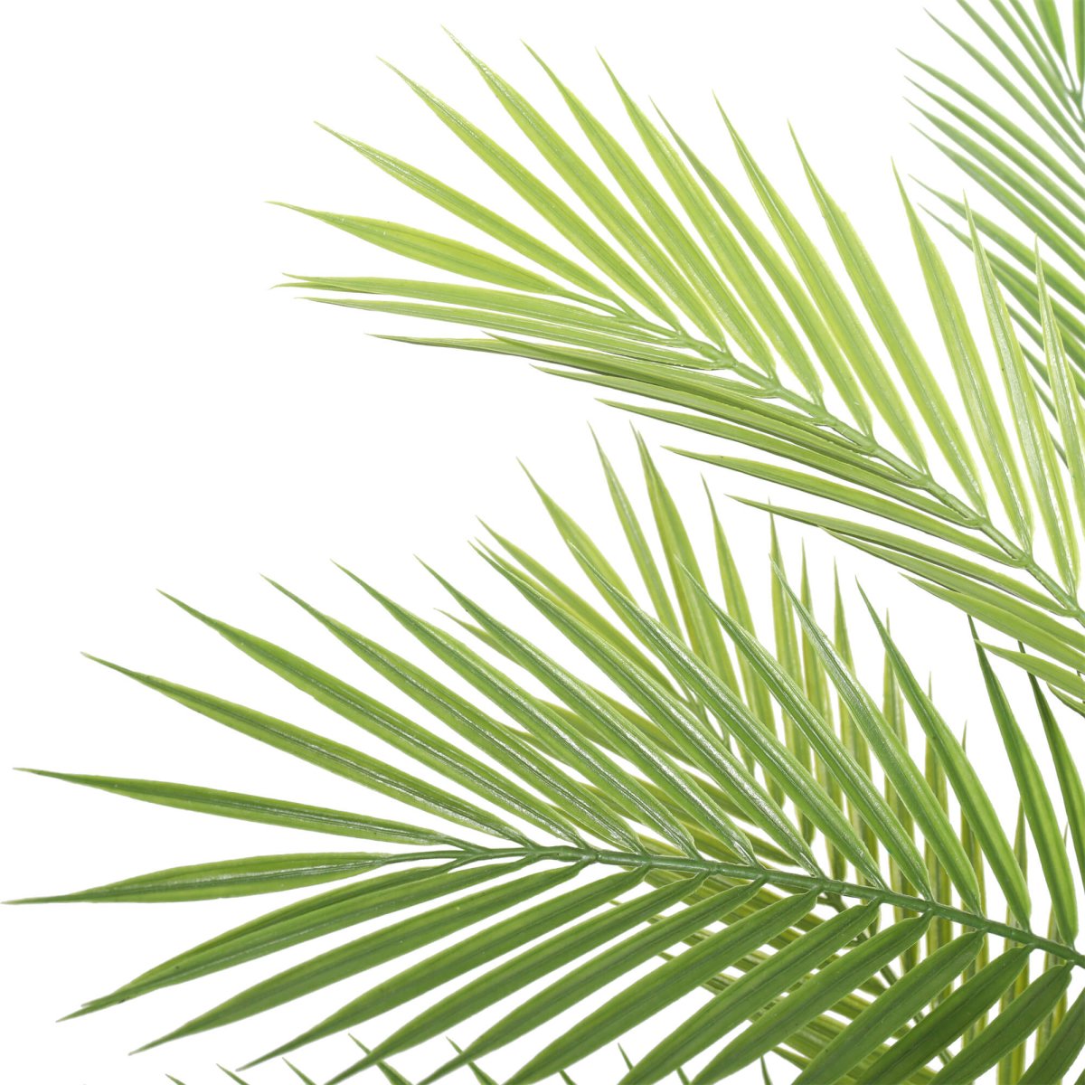 Pair Bundle - 2 x Baby Areca Palms UV 96cm - Evergreen Walls