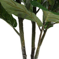 Pair Bundle - 2 x Ficus Fiddle Leaf Plants 120cm - Evergreen Walls
