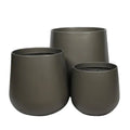 Paunch Pot Planter - Large - Evergreen Walls