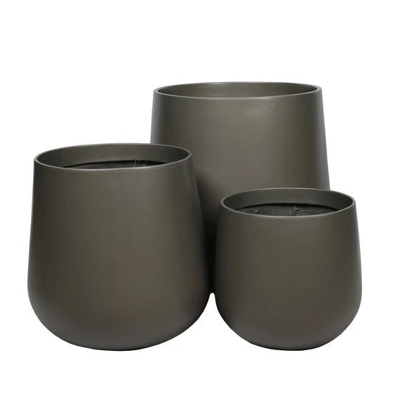 Paunch Pot Planter - Large - Evergreen Walls